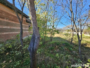 Casa de vanzare Petreni - imagine 2