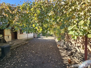 Casa de vanzare Petreni - imagine 5