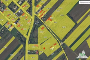 Teren intravilan, 3751mp oportunitate de investitie, cu utilitati, comuna Daia, judetul Giurgiu - imagine 4