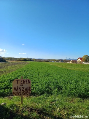 Teren intravilan Bacia - imagine 4