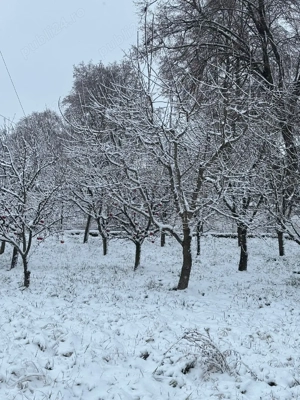 Casă de vânzare în Poiana Marului Caraș-Severin  - imagine 3