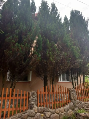 Casă de vânzare în Poiana Marului Caraș-Severin 