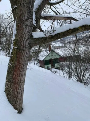 Vand Casa la tara cu CF, teren 2800 mp   Comuna Geaca, Sat Lacu - imagine 2