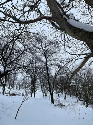 Vand Casa la tara cu CF, teren 2800 mp   Comuna Geaca, Sat Lacu - imagine 3