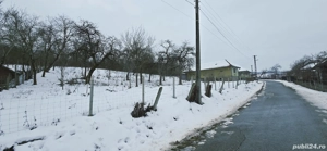 Casa cu Anexe, Gradina + 2Ha Terenuri - imagine 7