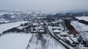 Casa cu Anexe, Gradina + 2Ha Terenuri - imagine 6