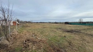 COMISION 0 | Teren intravilan | 687 + 632 mp | Giroc - imagine 4