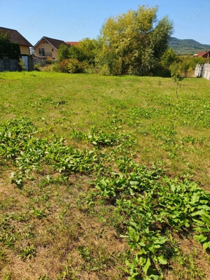 Casă cu teren 15 ari   Bistrița, str. Bradului | 300.000   - imagine 5