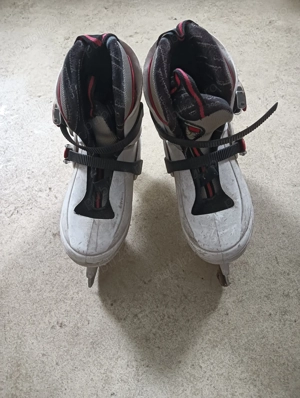 Patine agrement dama