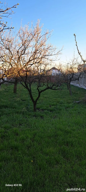 Casa de vanzare, Giarmata Mare - imagine 7