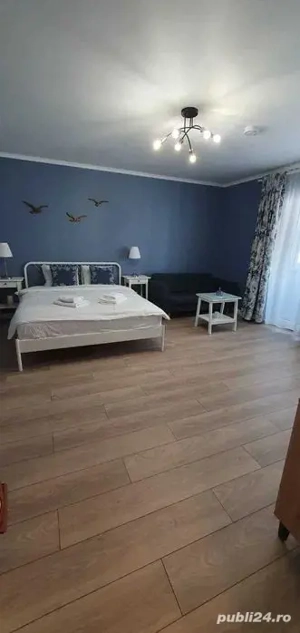 Regim hotelier Dristor Park Lake - imagine 2