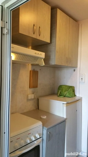 Proprietar gars.lipovei - imagine 4