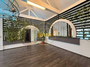 Cladire multifunctionala – sediu business , 1160 mp, garaj 11 masini, Cotroceni - imagine 9