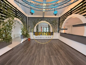 Cladire multifunctionala – sediu business , 1160 mp, garaj 11 masini, Cotroceni - imagine 8