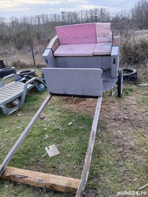 Trasura sareta cai schimb