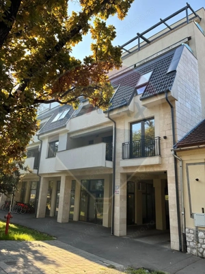 Apartament cu 2 camere de vânzare, ultracentral, Parcul Petőfi Sándor - imagine 15