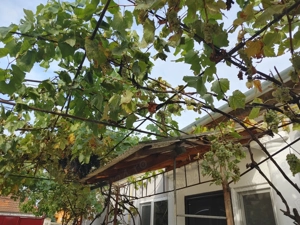 De inchiriat casa 3 camere Oradea  