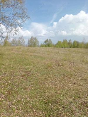 Teren de vânzare, Tarsa, Hunedoara - imagine 3