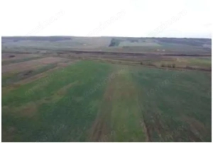 Teren Albesti, Vaslui, ID: R2893960