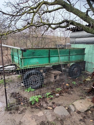 tractoras fist - imagine 3