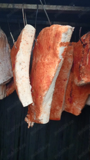 slanina de vanzare 