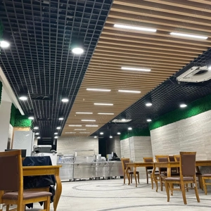 Tavane metalice suspendate (soluții profesionale)