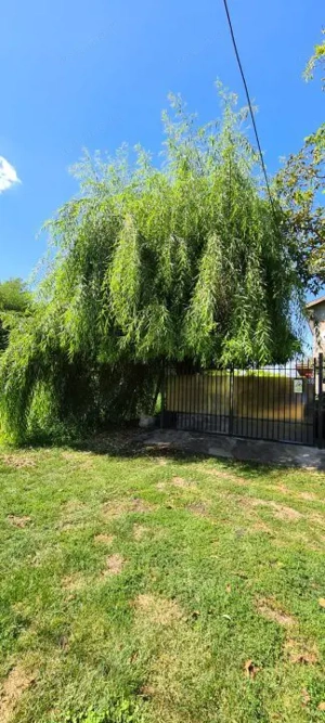 Vila Ialomita -Livedea lac - imagine 6