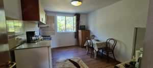 Vila Ialomita -Livedea lac - imagine 10