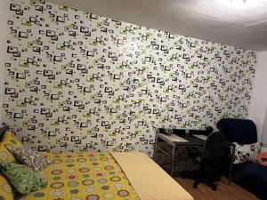 Apartament 1 camera-Complex