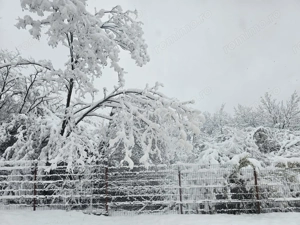 AZURA Imobiliare - Casa la cheie Mosoaia - pret de apartament! - imagine 13