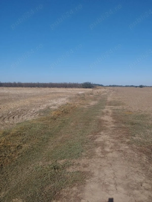 vânzare teren  - imagine 3