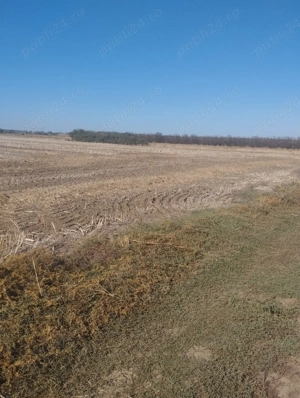 vânzare teren  - imagine 7