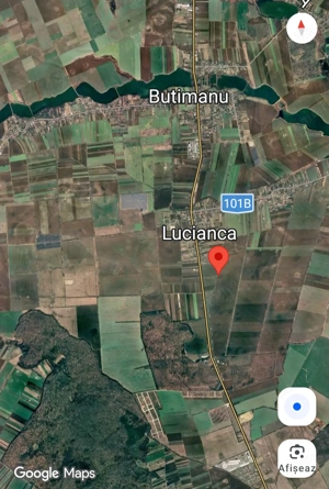 Vanzare 5000 mp teren plata în rate in Butimanu-Lucianca ( aproape de Bucuresti ) aproape de padure - imagine 9