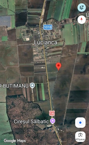 Vanzare 5000 mp teren in Butimanu-Lucianca ( aproape de Bucuresti ) aproape de padure