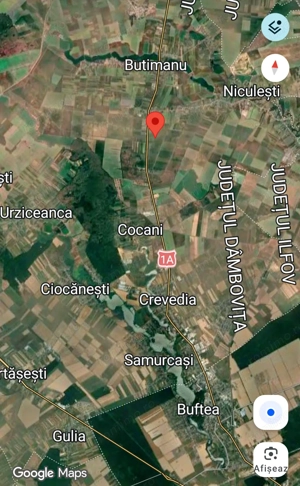 Vanzare 5000 mp teren plata în rate in Butimanu-Lucianca ( aproape de Bucuresti ) aproape de padure - imagine 8