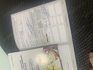 Bichon iubitoare și jucăușă  - imagine 2