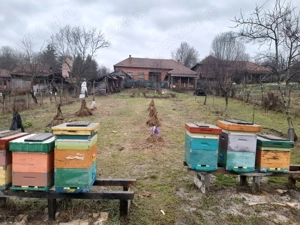 casă de vînzare .  - imagine 3