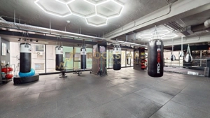 Spatiu birouri | Sala sport | Box Gym | Caranfil