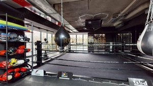 Spatiu birouri | Sala sport | Box Gym | Caranfil - imagine 15