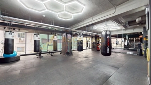 Spatiu birouri | Sala sport | Box Gym | Caranfil - imagine 3