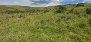 Vând teren extravilan în Șutu, jud cluj - imagine 4