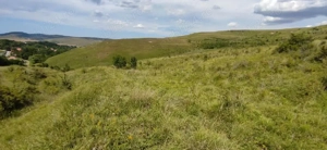 Vând teren extravilan în Șutu, jud cluj - imagine 3