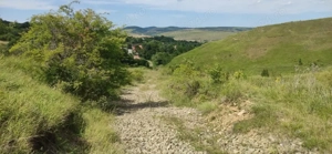 Vând teren extravilan în Șutu, jud cluj - imagine 5