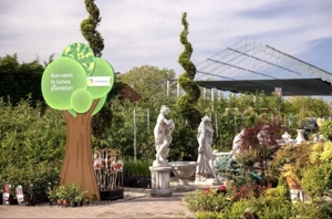 Angajam Muncitori Calificati Necalificati