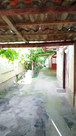 Casa cu teren in Fratelia - imagine 5