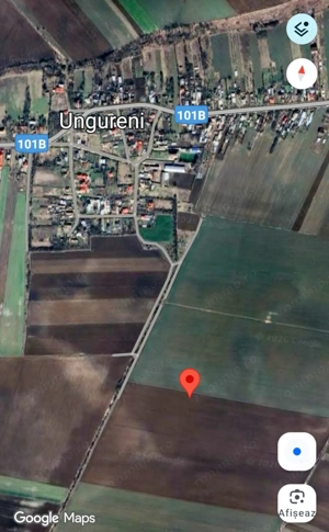 Vanzare 7500 mp teren in Butimanu (aproape de Bucuresti) 172 m lungime x 44 m adancime + drum acces - imagine 9