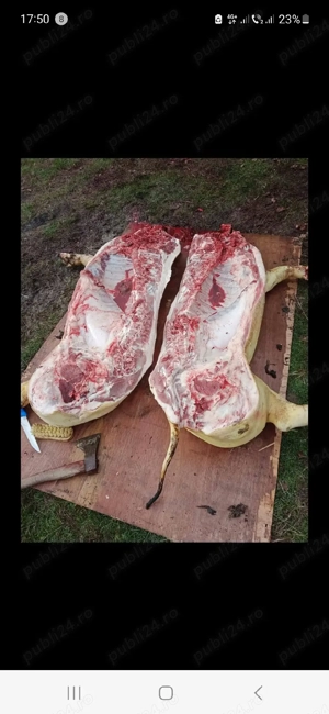 Vand carcasa porc - imagine 2