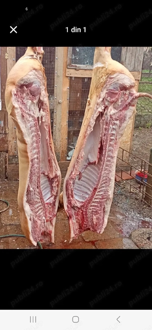 Vand carcasa porc - imagine 4