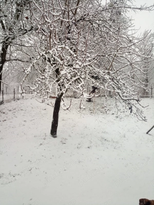Ofer un hectar de grădină 