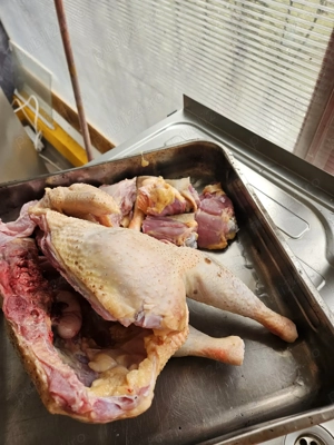 Cocoși și curci de vânzare. 